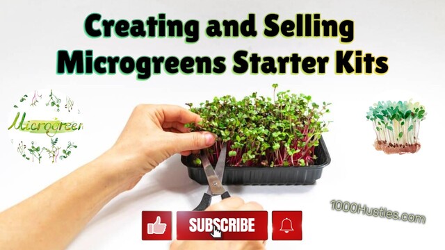 Get Started on Your Microgreens Journey with 1000 Hustles' Versatile Starter Kits for Creating and Selling High-Quality Greens!